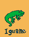 I comem Iguane