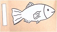 Schéma poisson 1